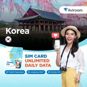 Korea Selatan Sim Card