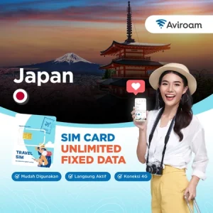 Japan Sim Card